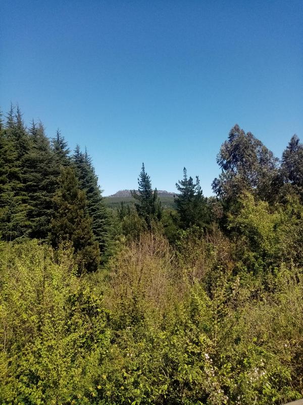3 Bedroom Property for Sale in Hogsback Eastern Cape